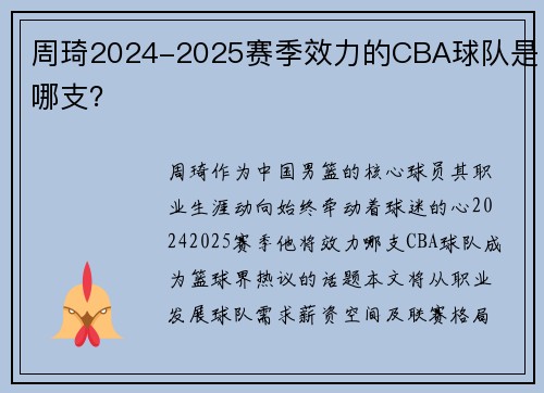 周琦2024-2025赛季效力的CBA球队是哪支？